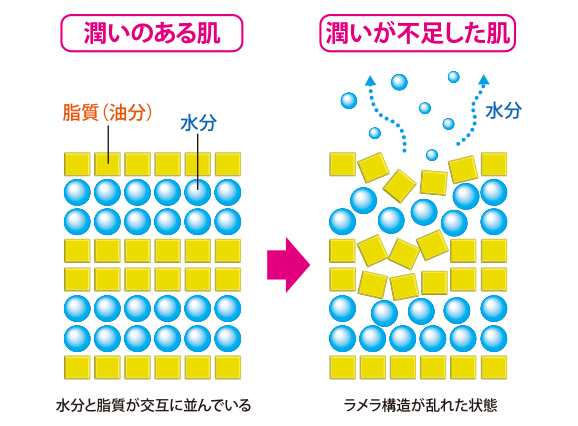 アイセラムインパクトビジューのおすすめポイント1